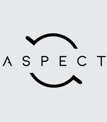 aspect Fortnite